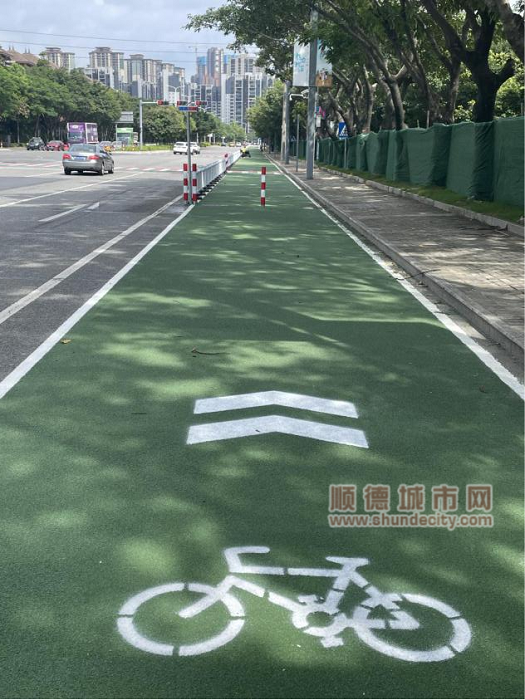 专用道建设后.png
