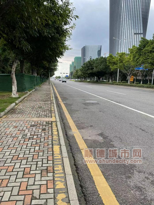 专用道建设前.png