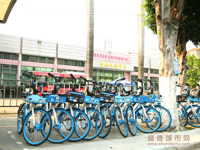 “哈啰”计划在均安镇投放共享单车1000辆，重点分布在均安镇都市经典商圈、李小龙乐园、百安路、南沙岛等地。.jpg