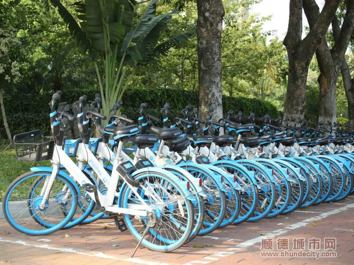 均安这抹“蓝色倩影”登场。.jpg