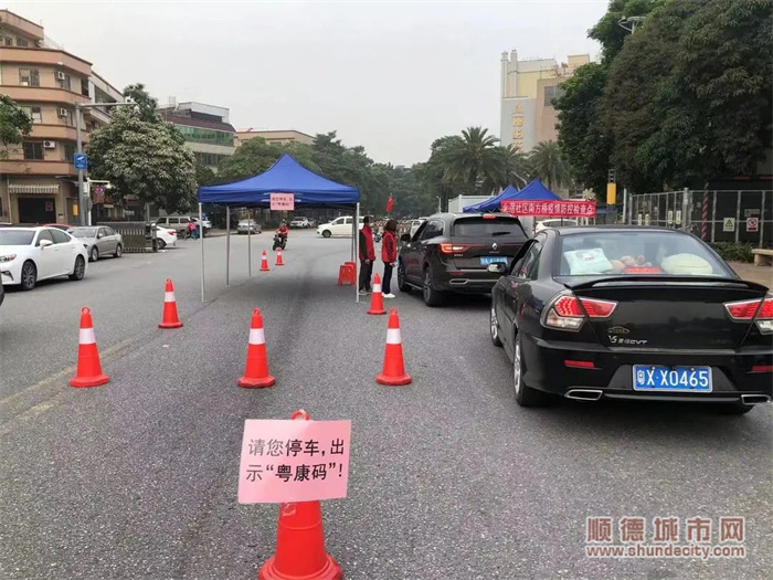 测体温，查验粤康码、行程码 - 副本.jpg