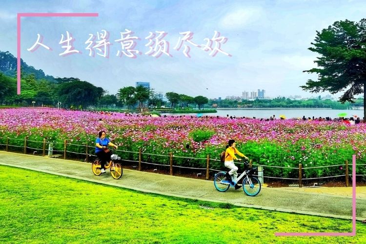 舒适！一不小心就掉进顺德悠闲自得的怀里