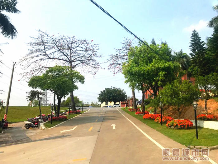 1干净如洗的道路地面。.jpg
