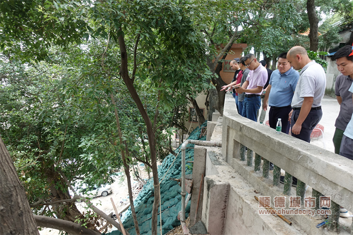 附图2：工作组检查伦教街道鸡洲山岗西侧治理工程.jpg