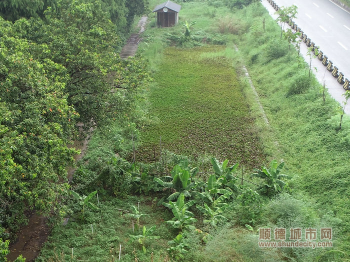 配合拆除整改后情况。.jpg