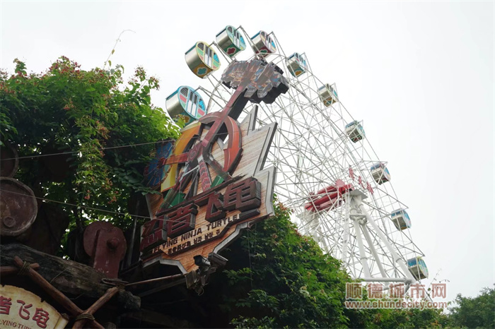 11.jpg