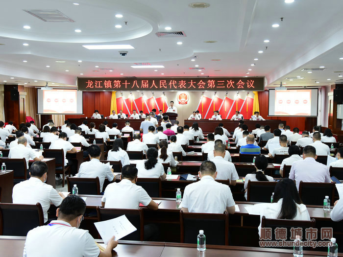 龙江镇第十八届人民代表大会第三次会议召开。（温德志摄）.JPG