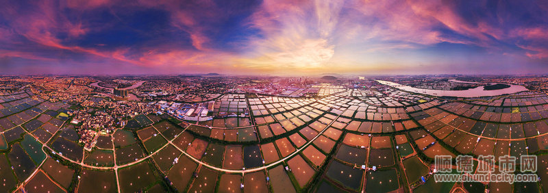 顺德水乡美景。.jpg