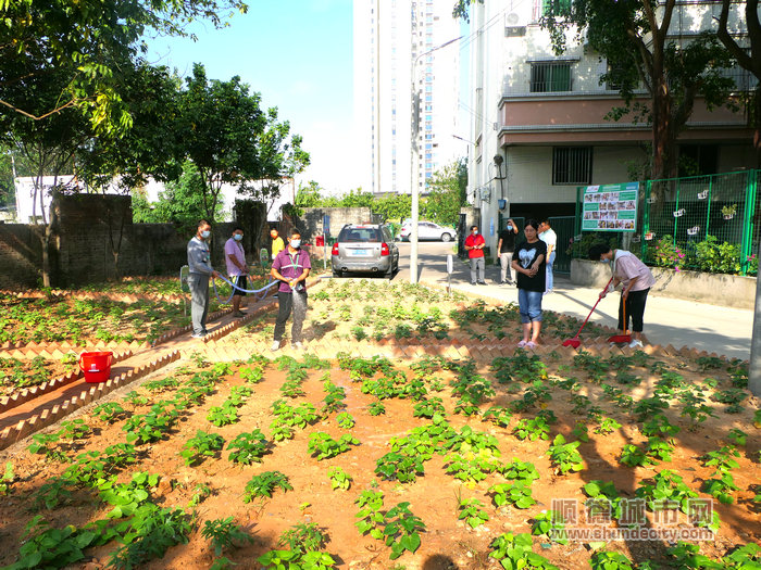 小区居民积极参与到四小园建设。.jpg