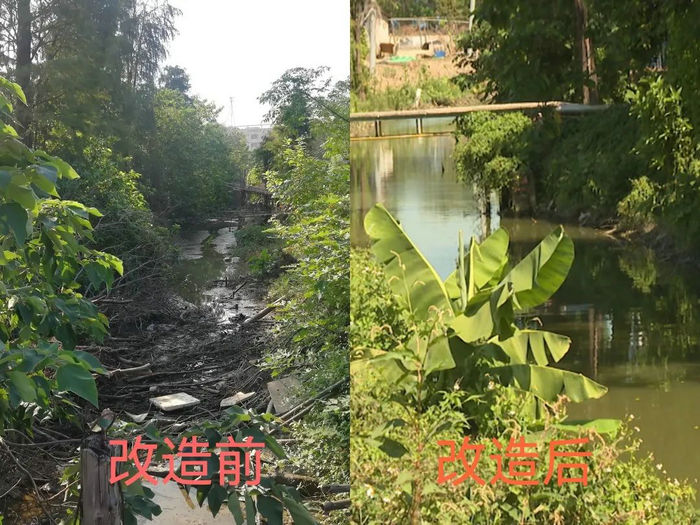 沙埔村改造前后对比图。.jpg