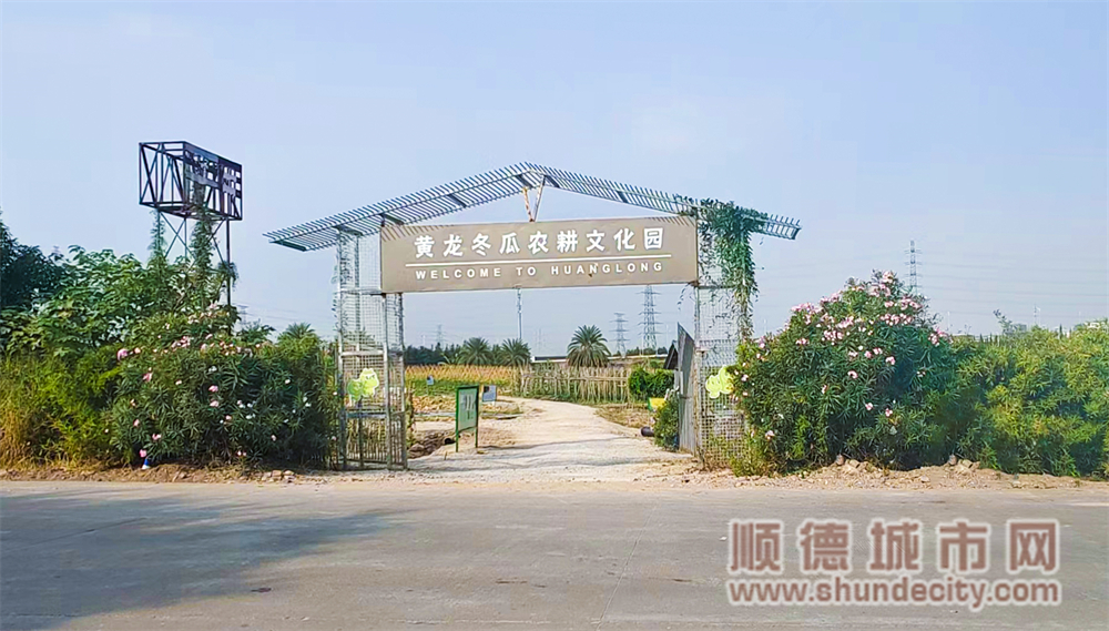 冬瓜文化种植园.jpg