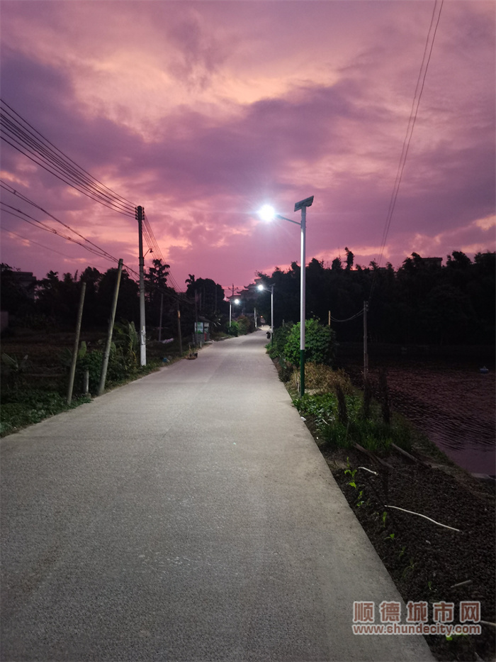 路灯夜晚守候图例_proc.jpg