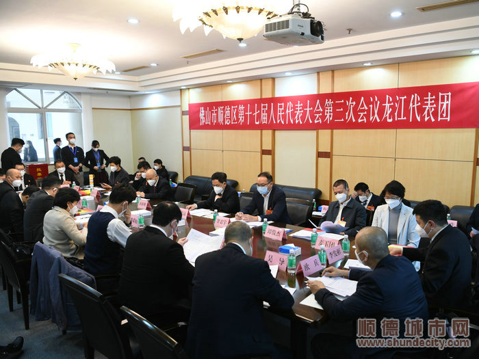 龙江代表团展开讨论。.jpg