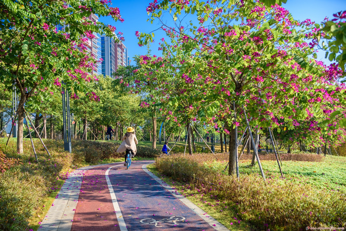 停下脚步，邂逅路上不期而遇的风景吧~