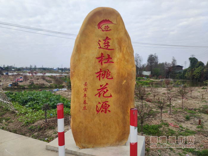 如今，勒流连杜桃花种植距今已有70多年历史。.jpg