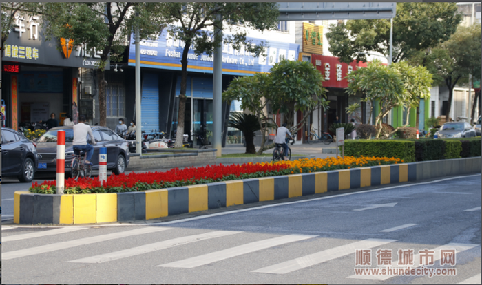 勒流街道龙升北路增加栽种了许多色彩鲜艳的绿植。.png
