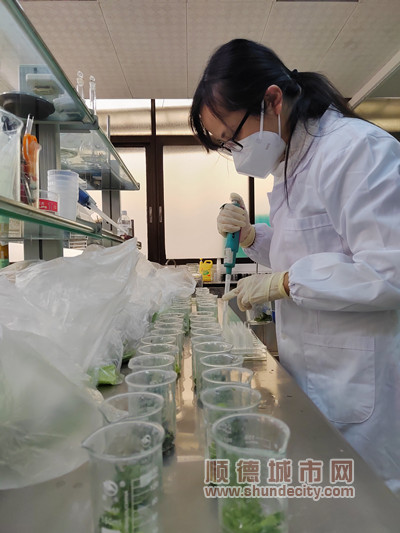 2CCCC1F6DE6DAFCAD6F1AFB17EF17657_副本.jpg
