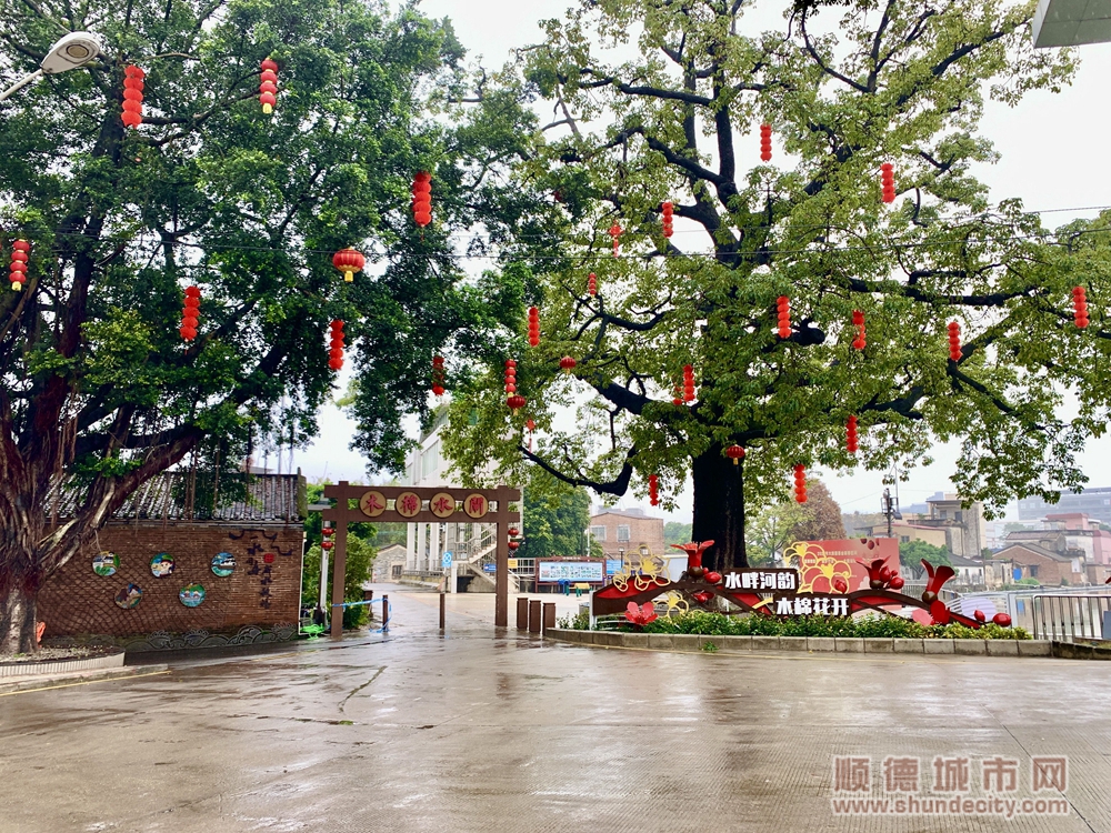 紫雯5.jpg