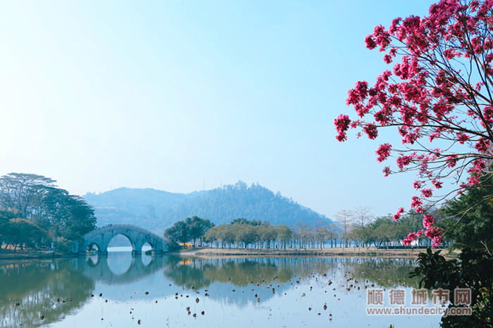 16d05202302021675326629837_副本.jpg