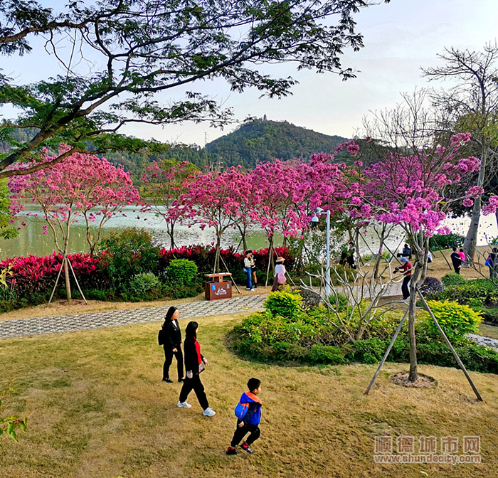 1d3a9202302021675300428933 (1)_副本.jpg