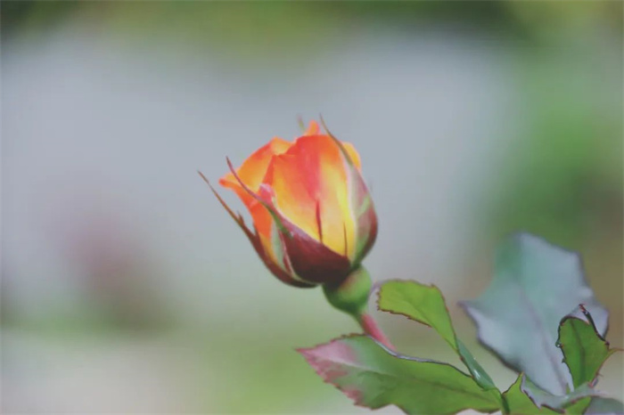 微信图片_20230208170150.jpg