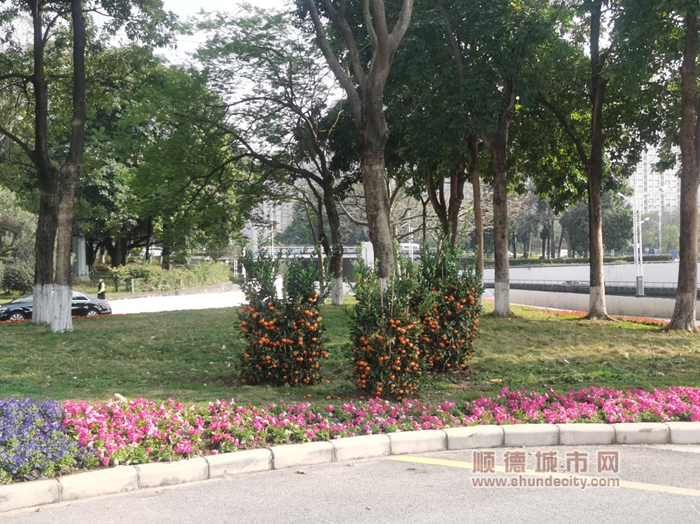 图片7_副本.png