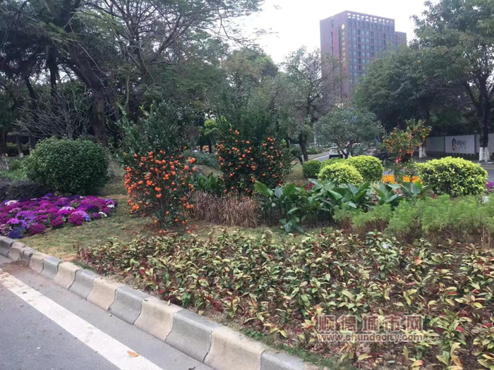 图片8_副本.png