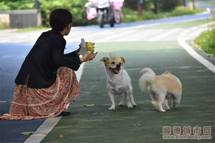 狗2.jpg