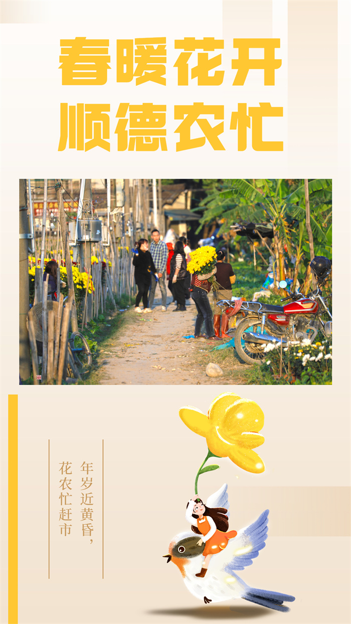 可用01.jpg