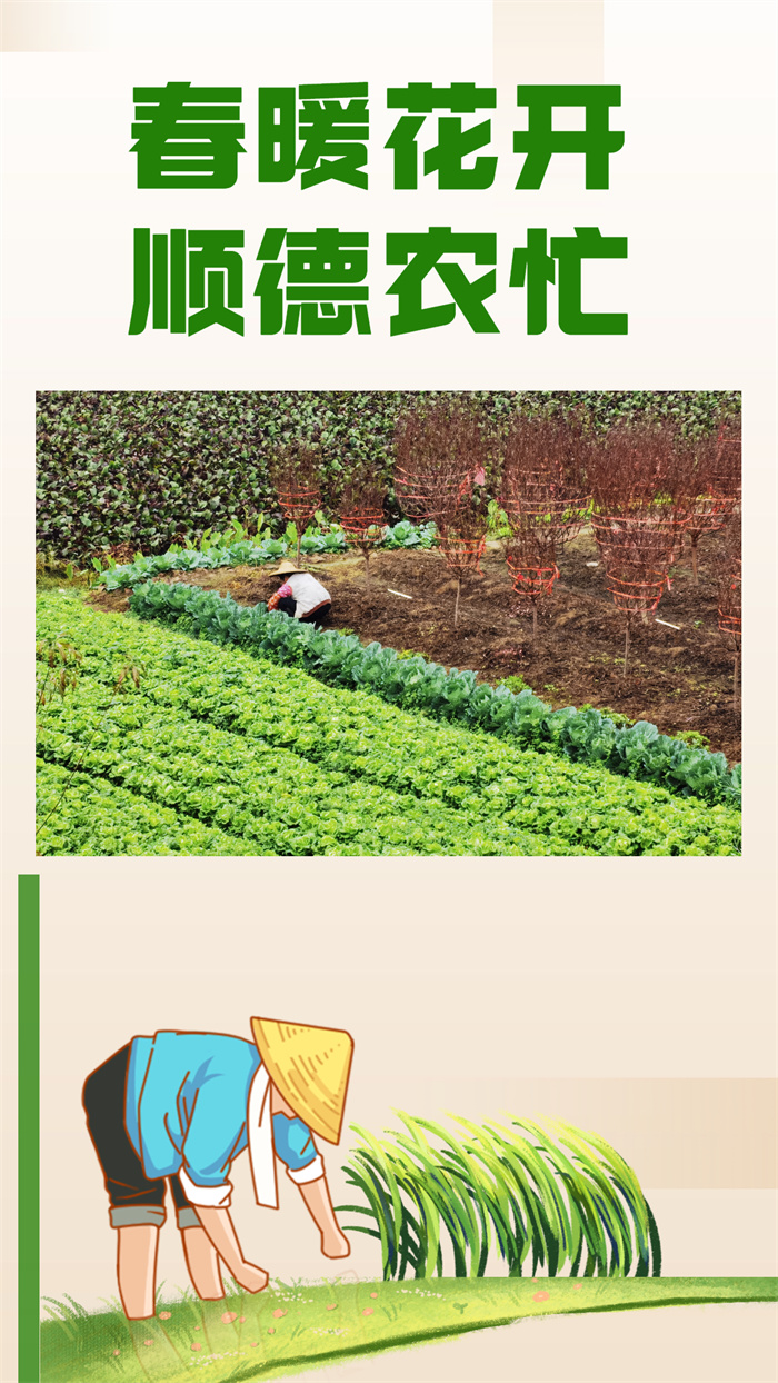 可用04.jpg