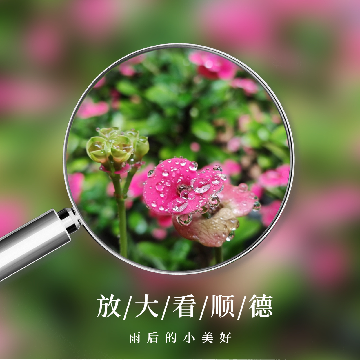 放大镜画中画晒美食方形海报 (1).jpg