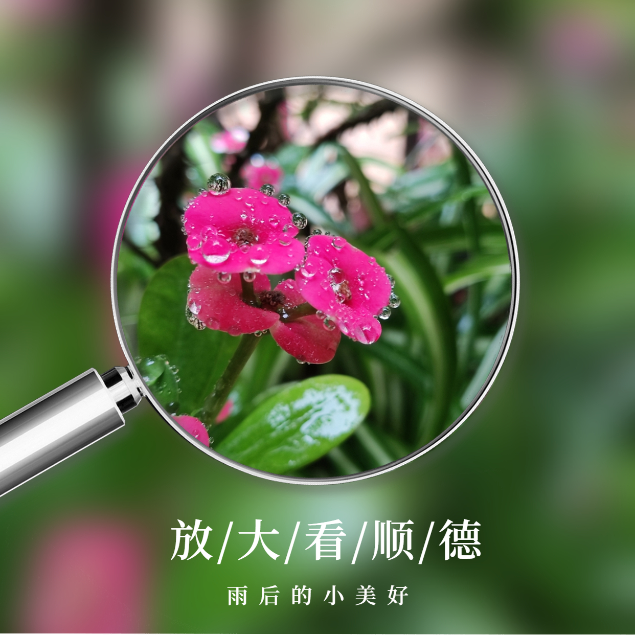 放大镜画中画晒美食方形海报 (5).jpg