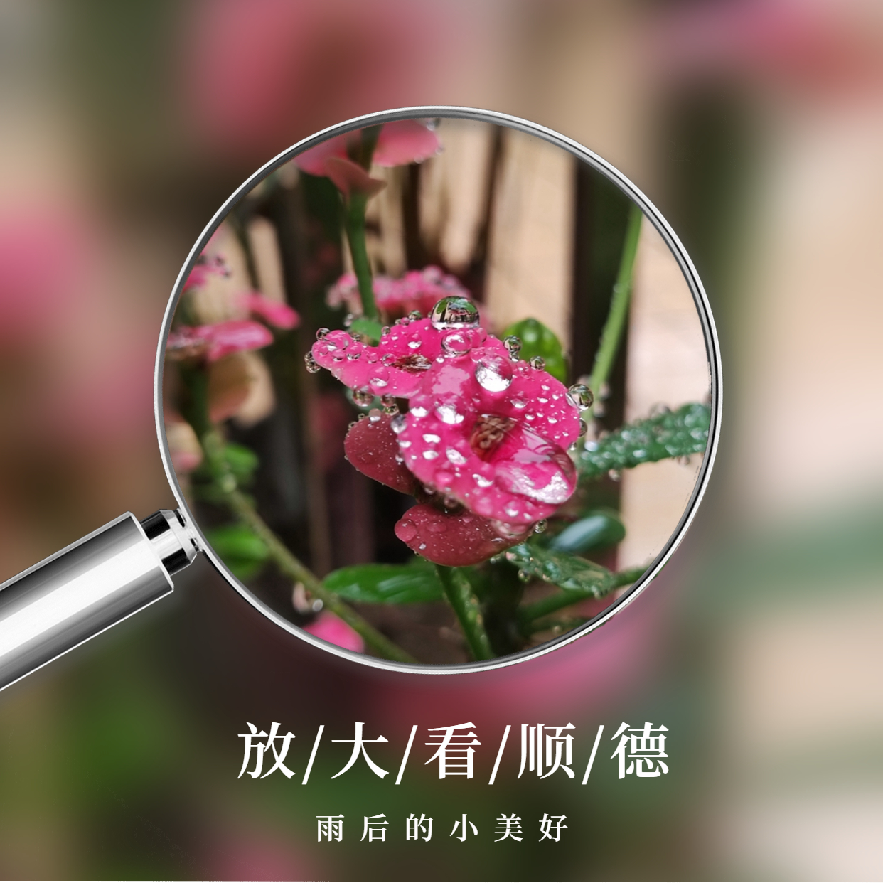 放大镜画中画晒美食方形海报 (3).jpg