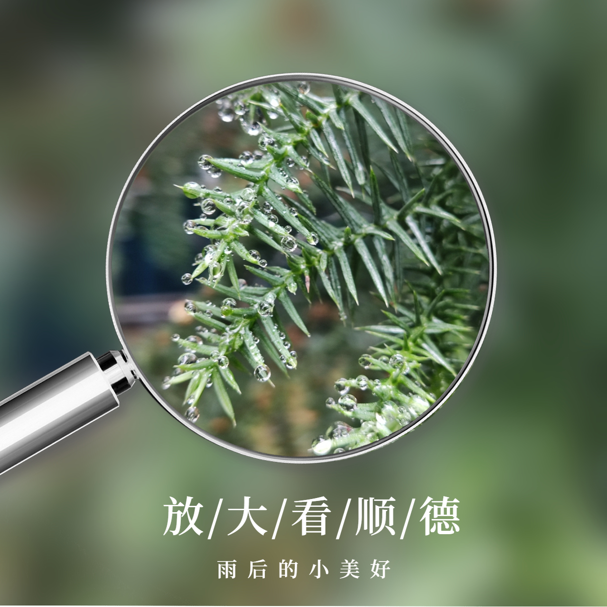 放大镜画中画晒美食方形海报 (2).jpg