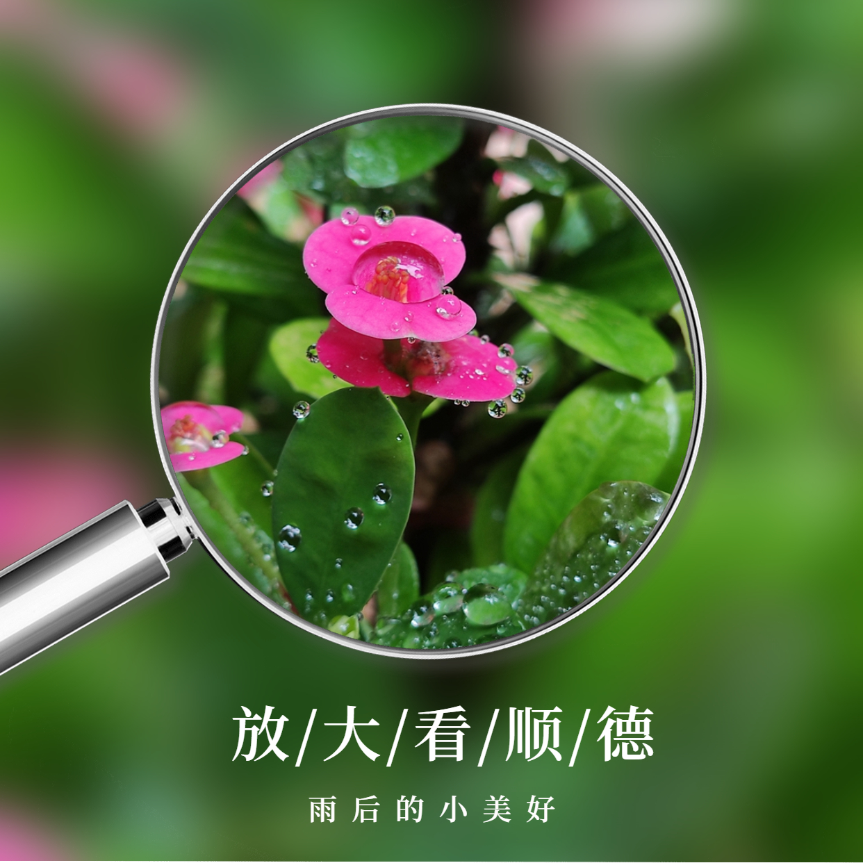 放大镜画中画晒美食方形海报.jpg