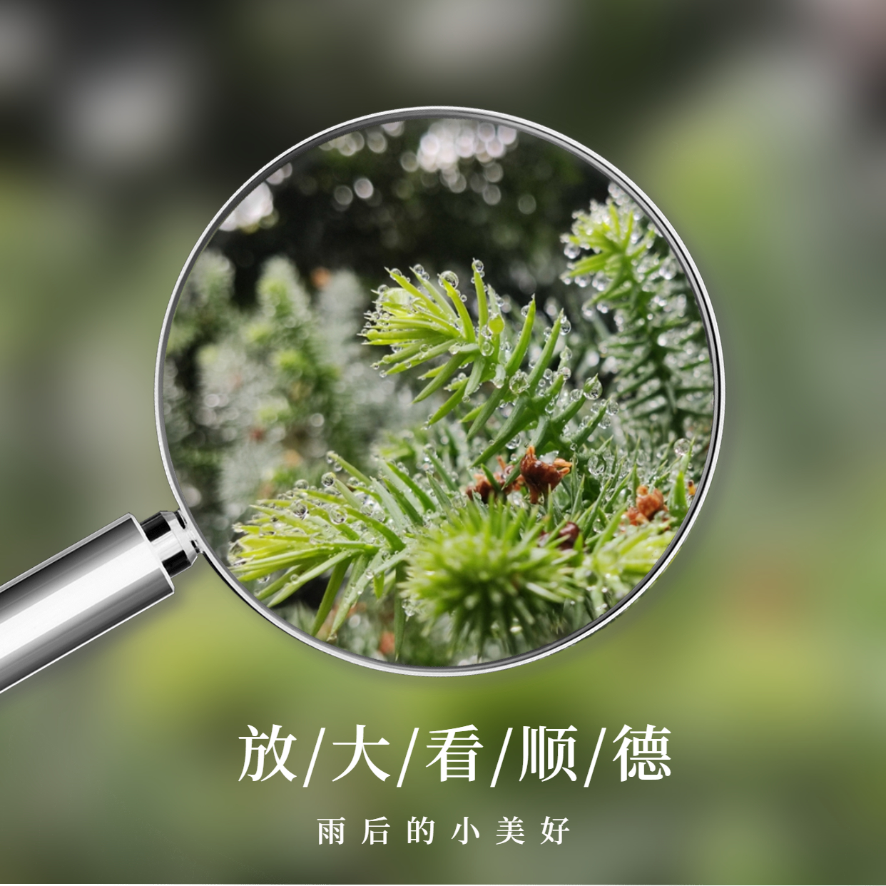 放大镜画中画晒美食方形海报 (6).jpg