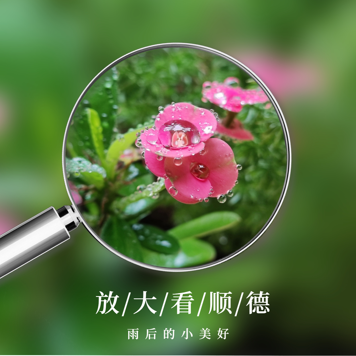 放大镜画中画晒美食方形海报 (7).jpg