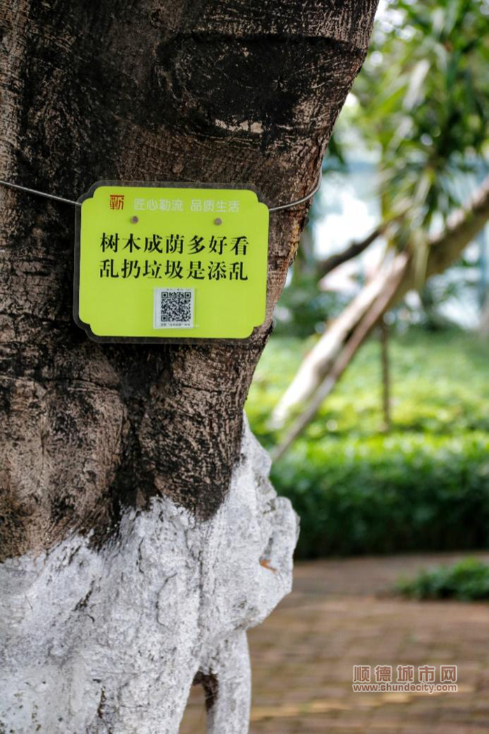 图片5_副本.png