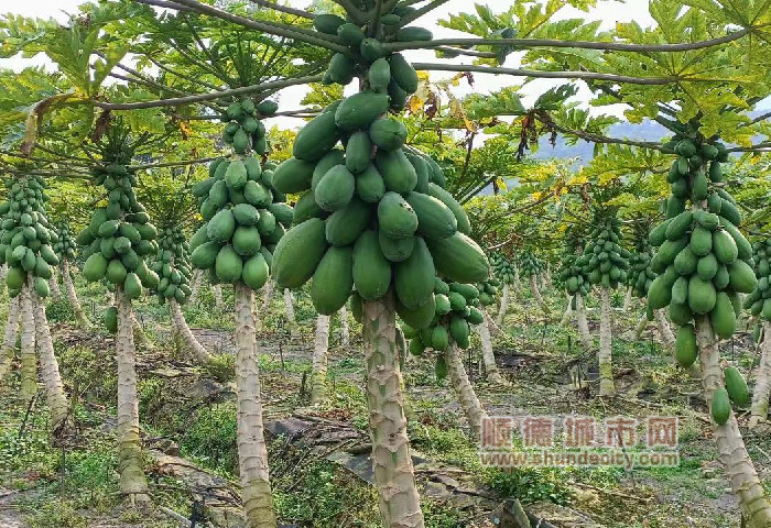 微信图片_20230410214633_副本.jpg