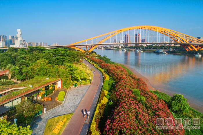 风光旖旎的佛山新城滨河景观带。.jpg