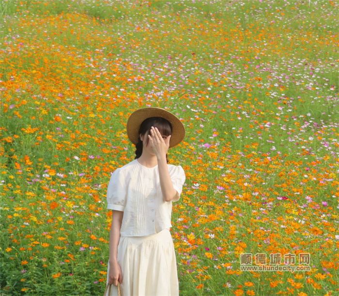 20230424 乌洲水闸 花 老牛9.jpg