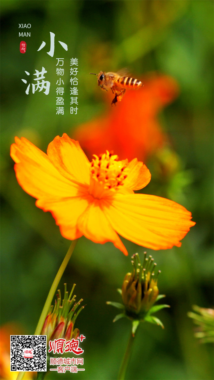 小满4.jpg