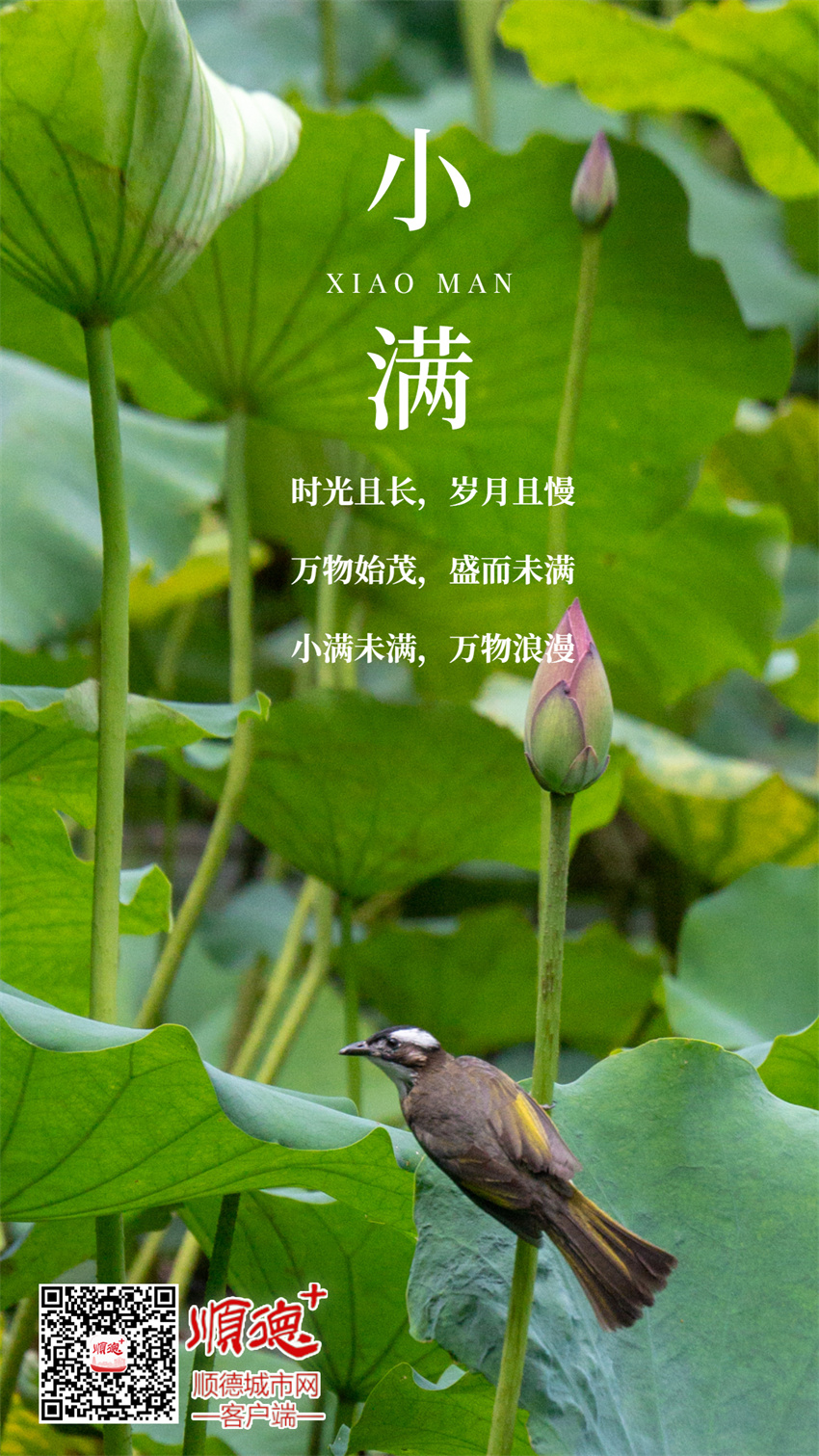 小满2.jpg
