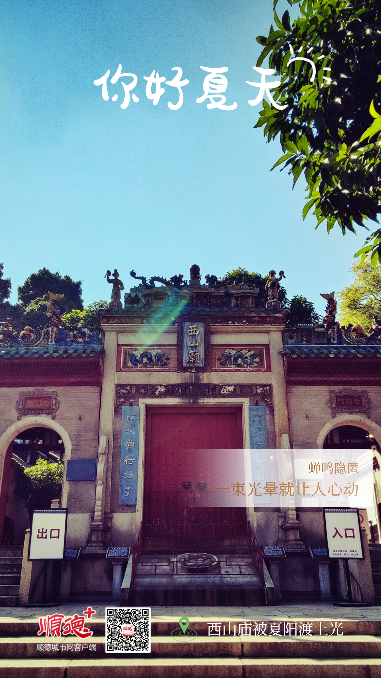 夏至节气祝福全屏转发宣传海报_副本(1)_副本.jpg