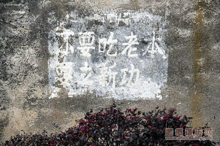 绿园中叔.jpg