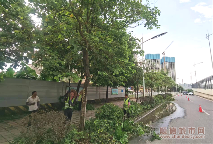 图片4_副本.png