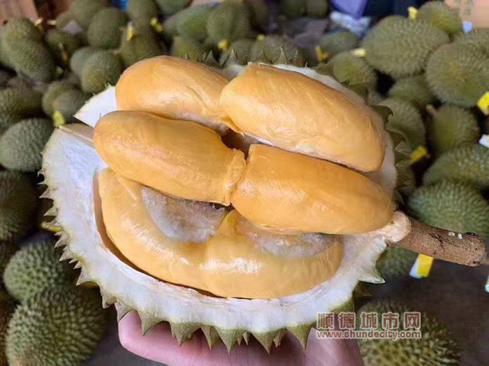 图片11_副本.png