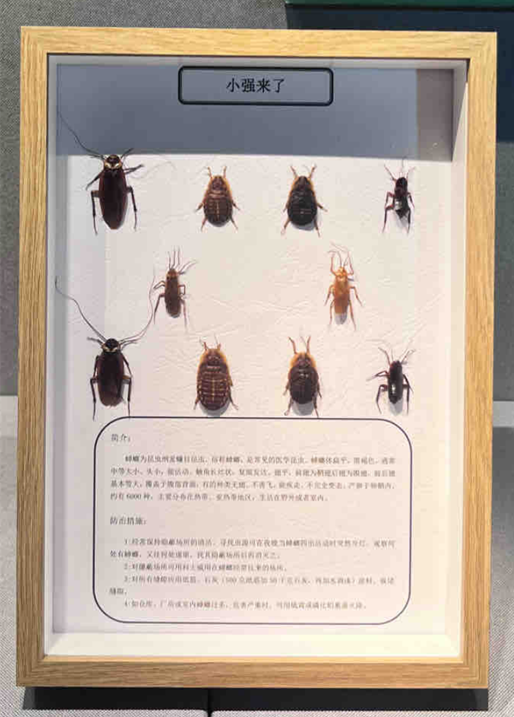 微信图片_20230907182922.png