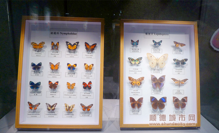 L1020809_副本_副本.jpg