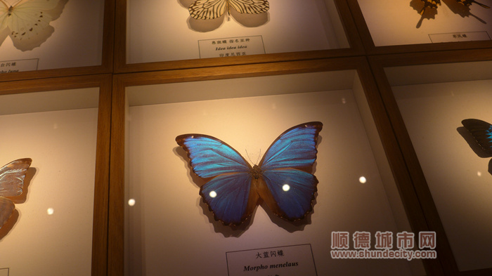 L1020825_副本_副本.jpg
